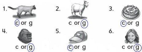 c or g